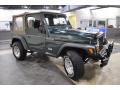  2000 Jeep Wrangler Forest Green Pearl #4
