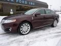 2010 MKS AWD Ultimate Package #8 2010 MKS AWD Ultimate Package #8