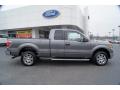  2011 Ford F150 Sterling Grey Metallic #2