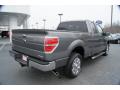  2011 Ford F150 Sterling Grey Metallic #3