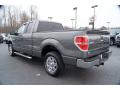  2011 Ford F150 Sterling Grey Metallic #35