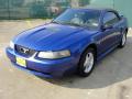 2002 Mustang V6 Convertible #7