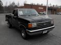  1990 Ford F150 Black #5