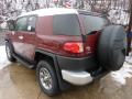 2011 FJ Cruiser 4WD #2