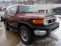 2011 FJ Cruiser 4WD #6