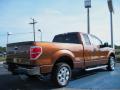  2011 Ford F150 Golden Bronze Metallic #3