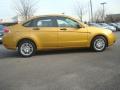  2009 Ford Focus Amber Gold Metallic #3