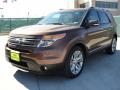 2011 Explorer Limited #7