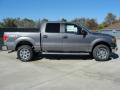  2011 Ford F150 Sterling Grey Metallic #2