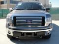  2011 Ford F150 Sterling Grey Metallic #8