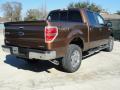  2011 Ford F150 Golden Bronze Metallic #3