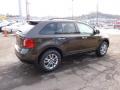 2011 Ford Edge Earth Metallic #4 2011 Ford Edge Earth Metallic #4