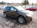 2011 Ford Edge Earth Metallic #5 2011 Ford Edge Earth Metallic #5