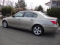 2008 5 Series 528xi Sedan #2
