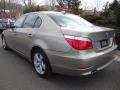  2008 BMW 5 Series Platinum Bronze Metallic #3