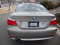 2008 BMW 5 Series Platinum Bronze Metallic #4