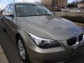 2008 5 Series 528xi Sedan #6