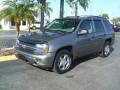 2007 TrailBlazer LS #1