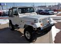 1989 Wrangler Islander 4x4 #2