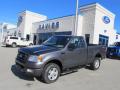 2005 F150 STX Regular Cab 4x4 #1 2005 F150 STX Regular Cab 4x4 #1