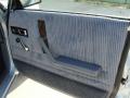 Door Panel of 1989 Plymouth Reliant K LE America #20