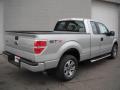  2011 Ford F150 Ingot Silver Metallic #5