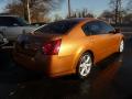 2004 Maxima 3.5 SE #3