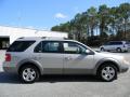  2006 Ford Freestyle Silver Birch Metallic #6