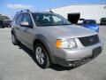  2006 Ford Freestyle Silver Birch Metallic #7