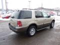 2004 Mountaineer V8 AWD #4