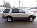 2004 Mercury Mountaineer Light French Silk Metallic #5