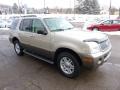 2004 Mountaineer V8 AWD #6