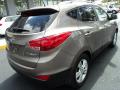 2010 Tucson Limited #4
