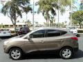  2010 Hyundai Tucson Chai Bronze #8