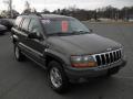 Front 3/4 View of 2000 Jeep Grand Cherokee Laredo 4x4 #5