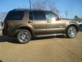  2008 Ford Explorer Stone Green Metallic #5