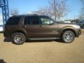  2008 Ford Explorer Stone Green Metallic #6