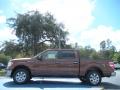  2011 Ford F150 Golden Bronze Metallic #2