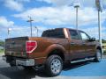  2011 Ford F150 Golden Bronze Metallic #3