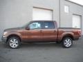  2011 Ford F150 Golden Bronze Metallic #3