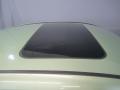 Sunroof of 2007 Hyundai Accent SE Coupe #19