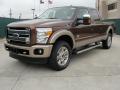  2011 Ford F250 Super Duty Golden Bronze Metallic #7