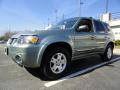 2006 Escape Limited 4WD #3 2006 Escape Limited 4WD #3