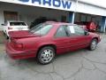 1993 Lumina Euro Coupe #10 1993 Lumina Euro Coupe #10