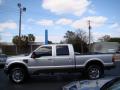  2010 Ford F250 Super Duty Ingot Silver Metallic #5