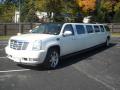  2007 Cadillac Escalade White Diamond #10