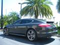  2010 Porsche Panamera Carbon Grey Metallic #8