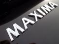  2011 Nissan Maxima Logo #35