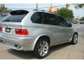 2004 X5 4.8is #3