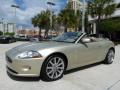  2007 Jaguar XK Winter Gold Metallic #3